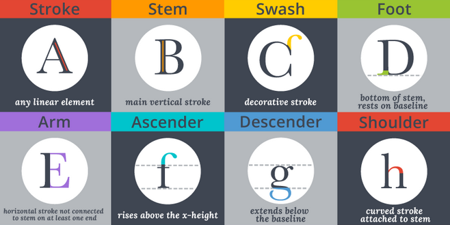 Typography infographic